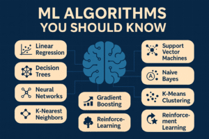 ML Algorithms You Should Know