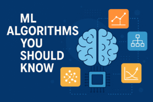 ML Algorithms You Should Know